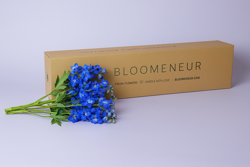 Delphinium