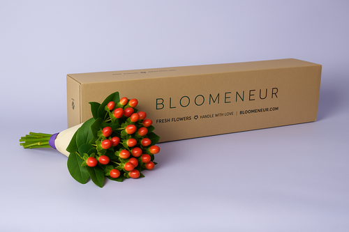 Hypericum