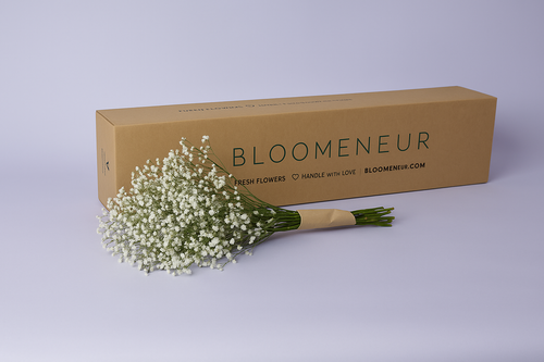 Limonium