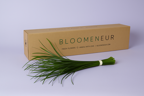 Lily Grass