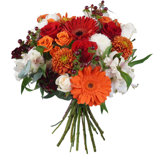 Bouquet: Petal Manifest