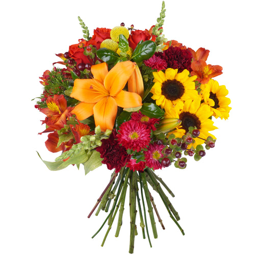 Bouquet: Lucid Accord