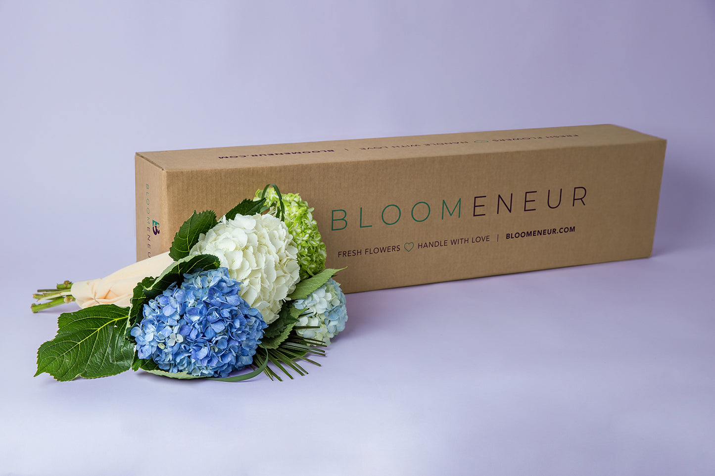 Hydrangeas Jumbo
