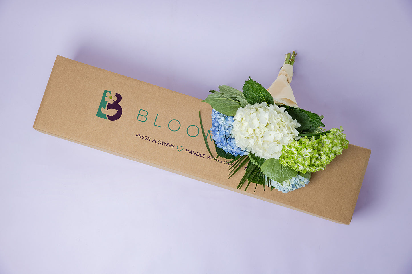 Hydrangeas Jumbo