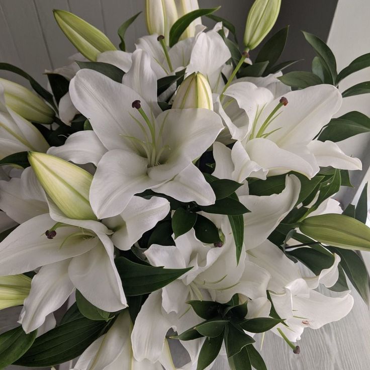 Custom Box of Lilies