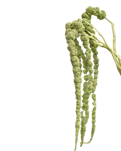 Green Tails