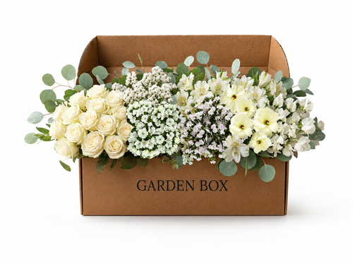 Garden Box All White - 19 Bunches
