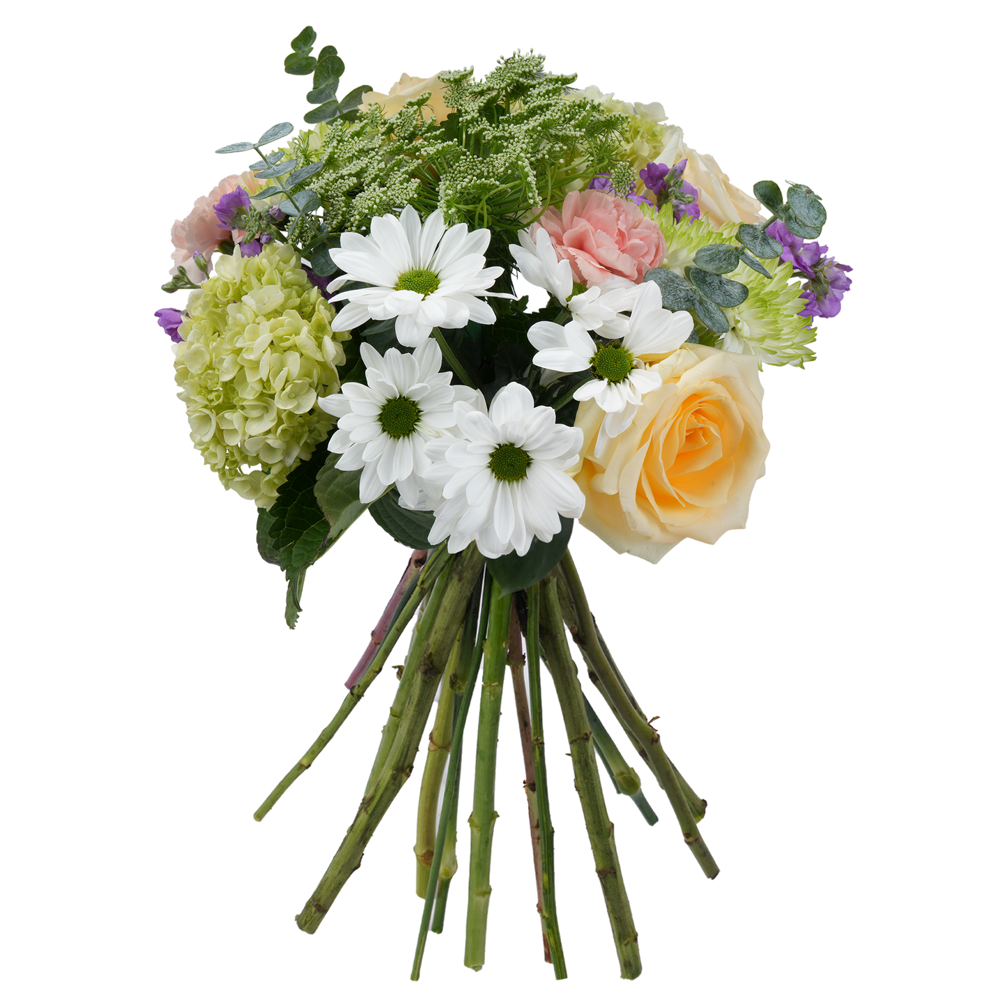 Bouquet: Bloom Rhapsody