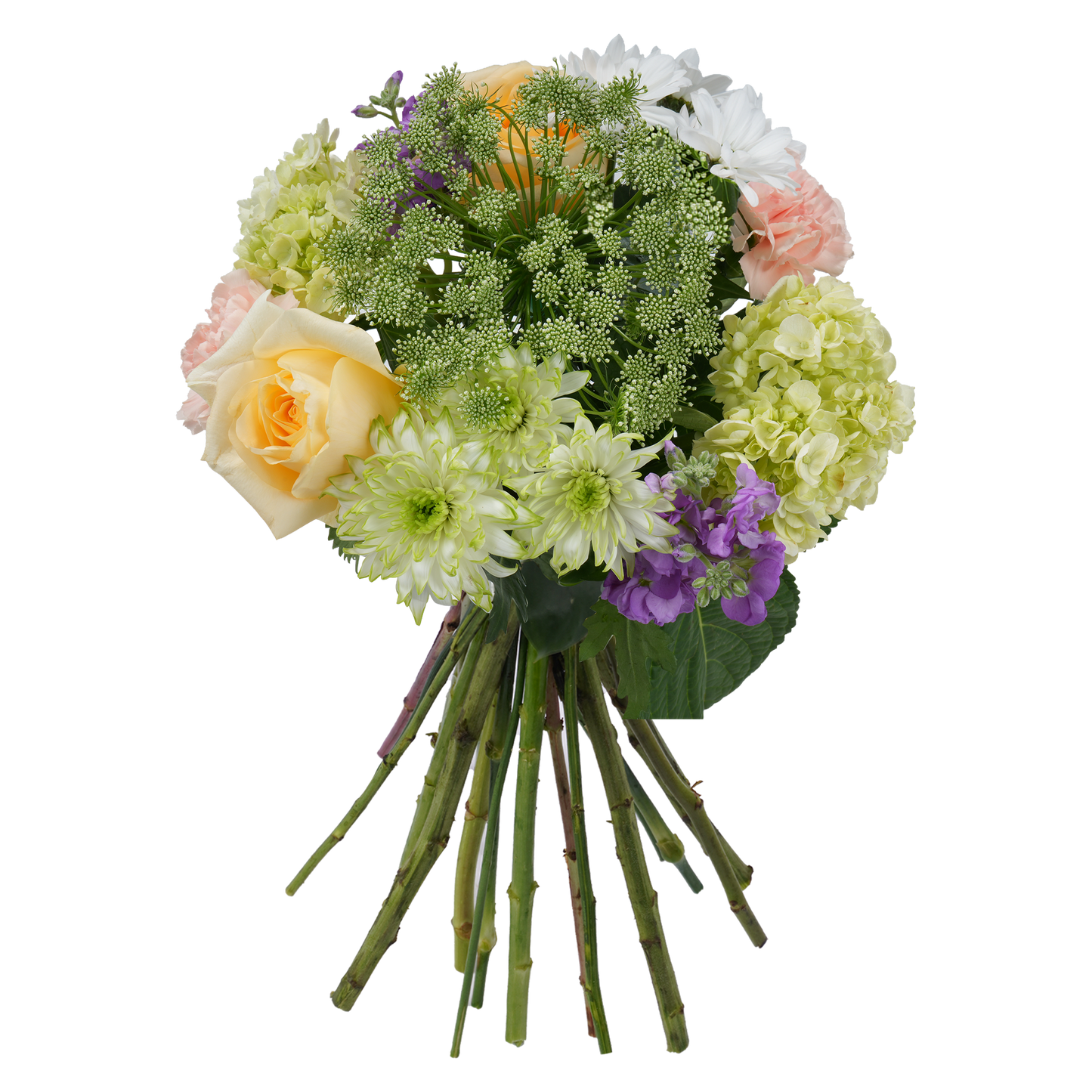 Bouquet: Bloom Rhapsody