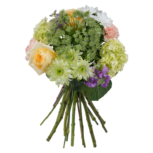 Bouquet: Bloom Rhapsody