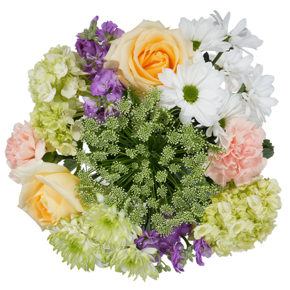 Bouquet: Bloom Rhapsody