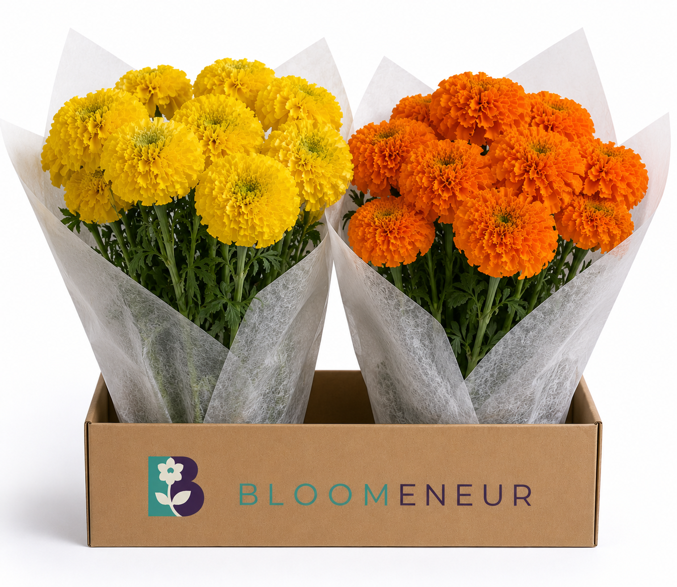 Custom Box of Mariglods