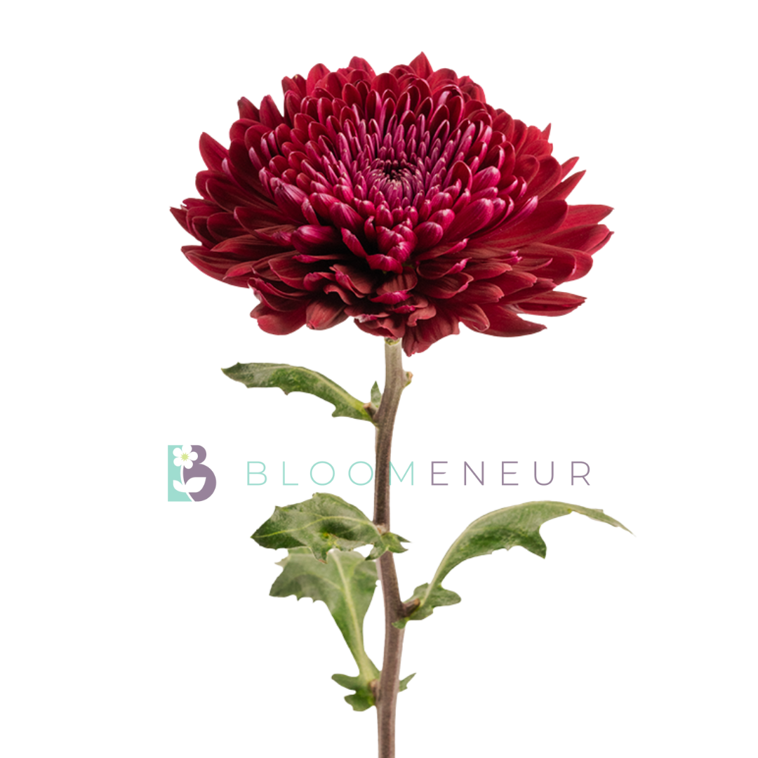 Disbud