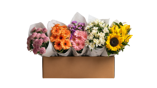 Personalized Premium Boxes