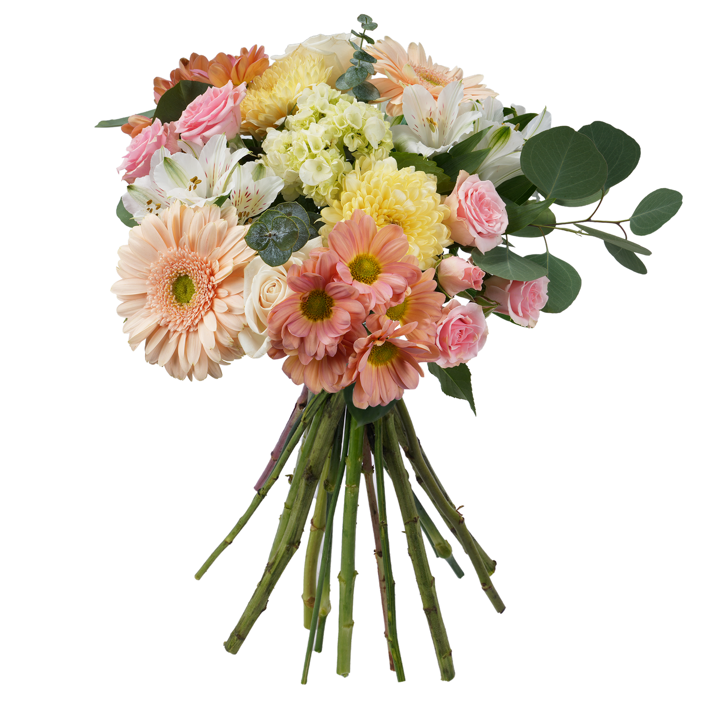 Bouquet: Eternal Spring