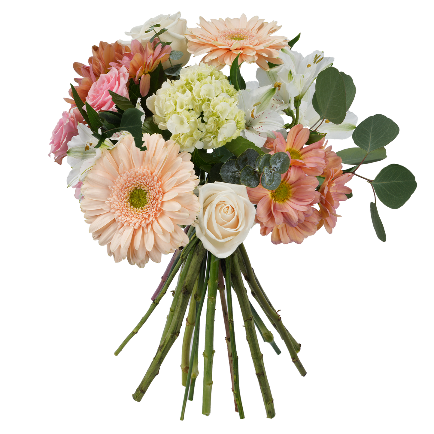 Bouquet: Eternal Spring