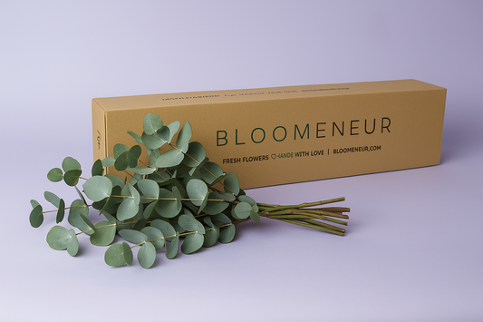 Eucalyptus Globulus