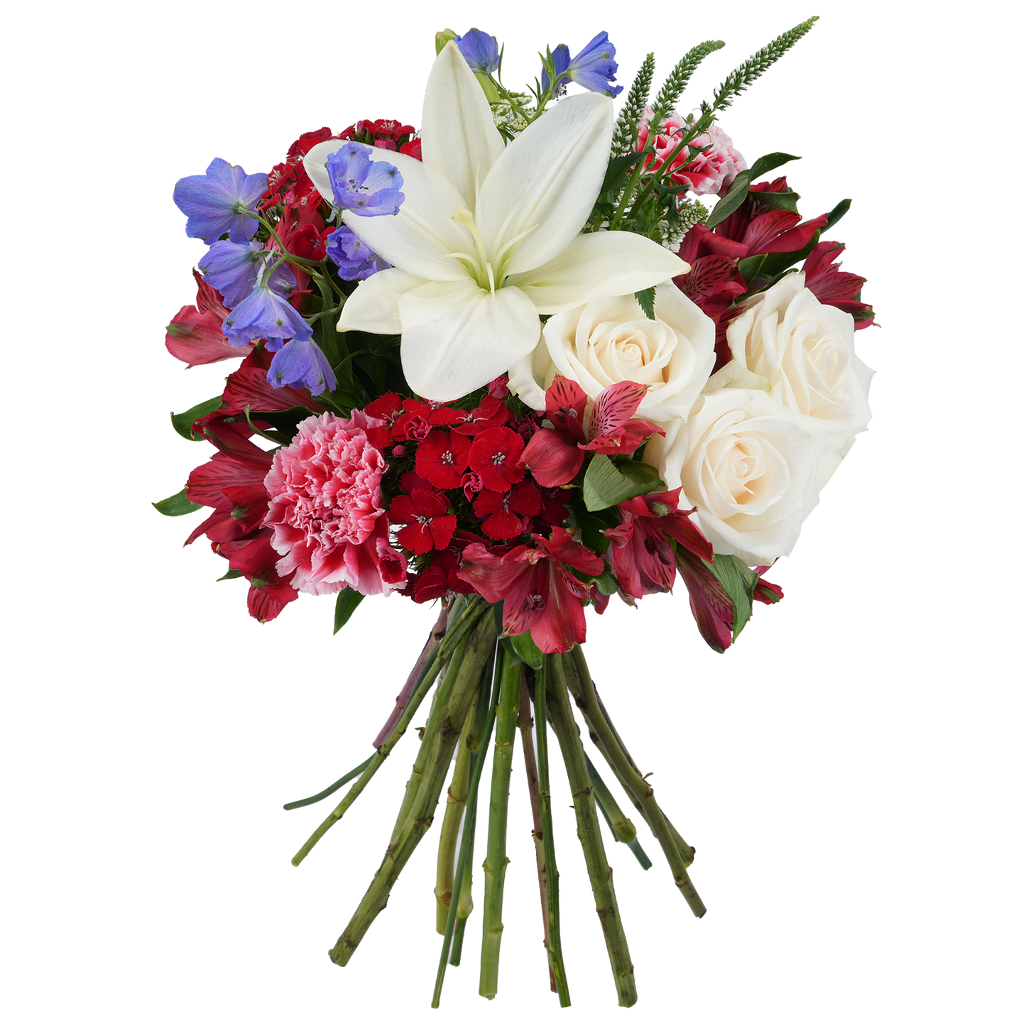 Bouquet: Firework Burst