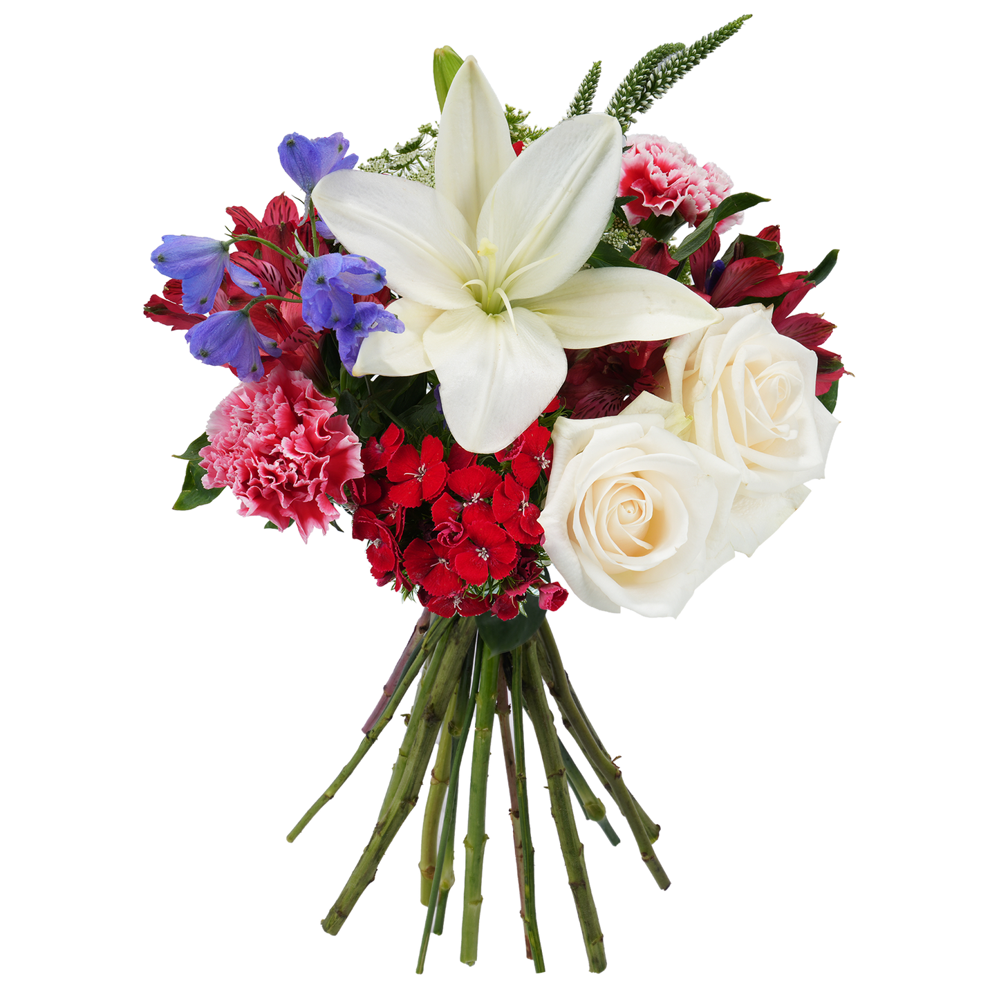 Bouquet: Firework Burst
