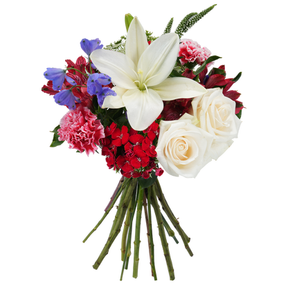 Bouquet: Firework Burst