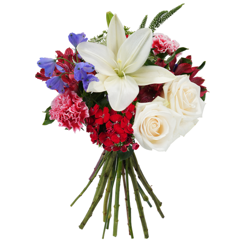Bouquet: Firework Burst