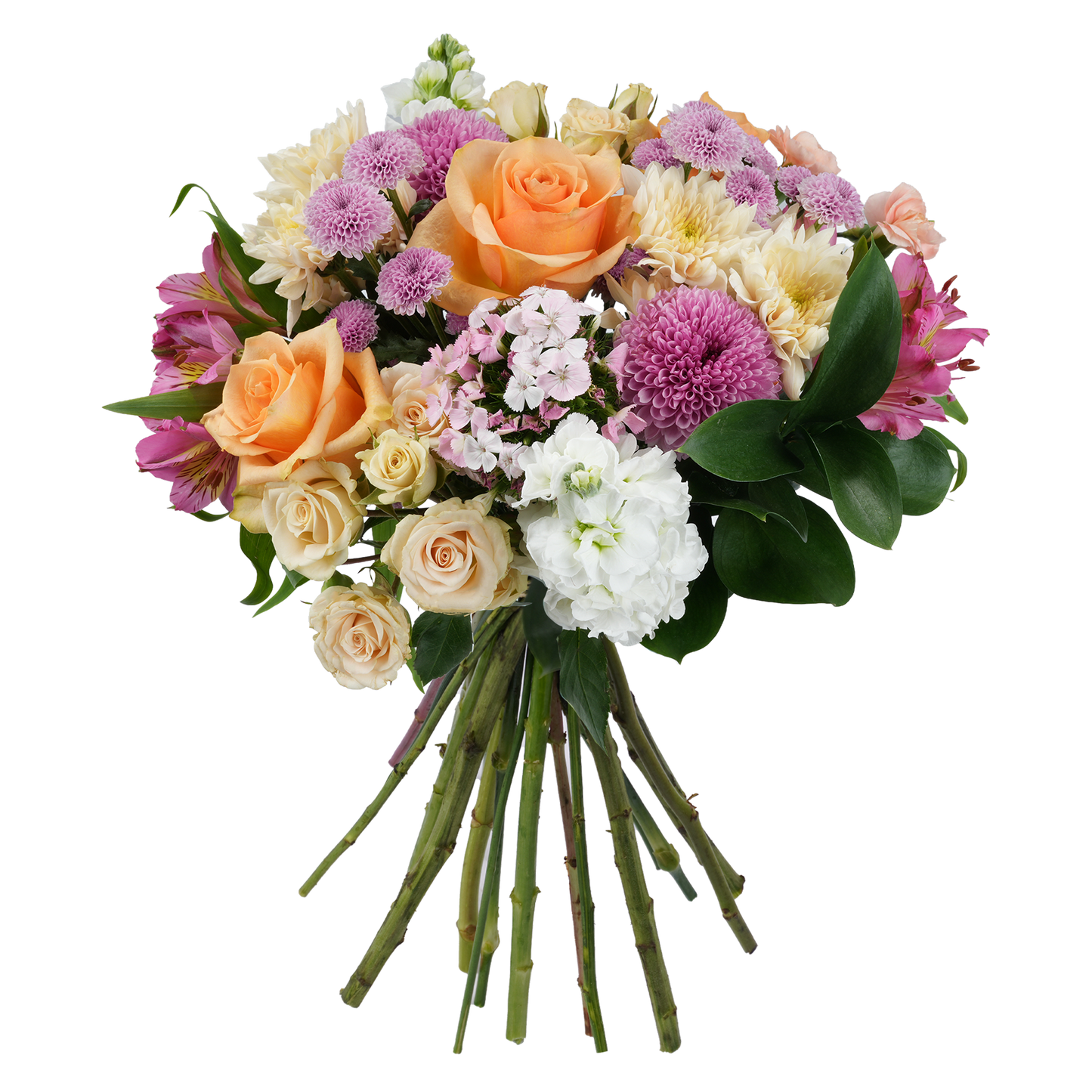Bouquet: Harmony