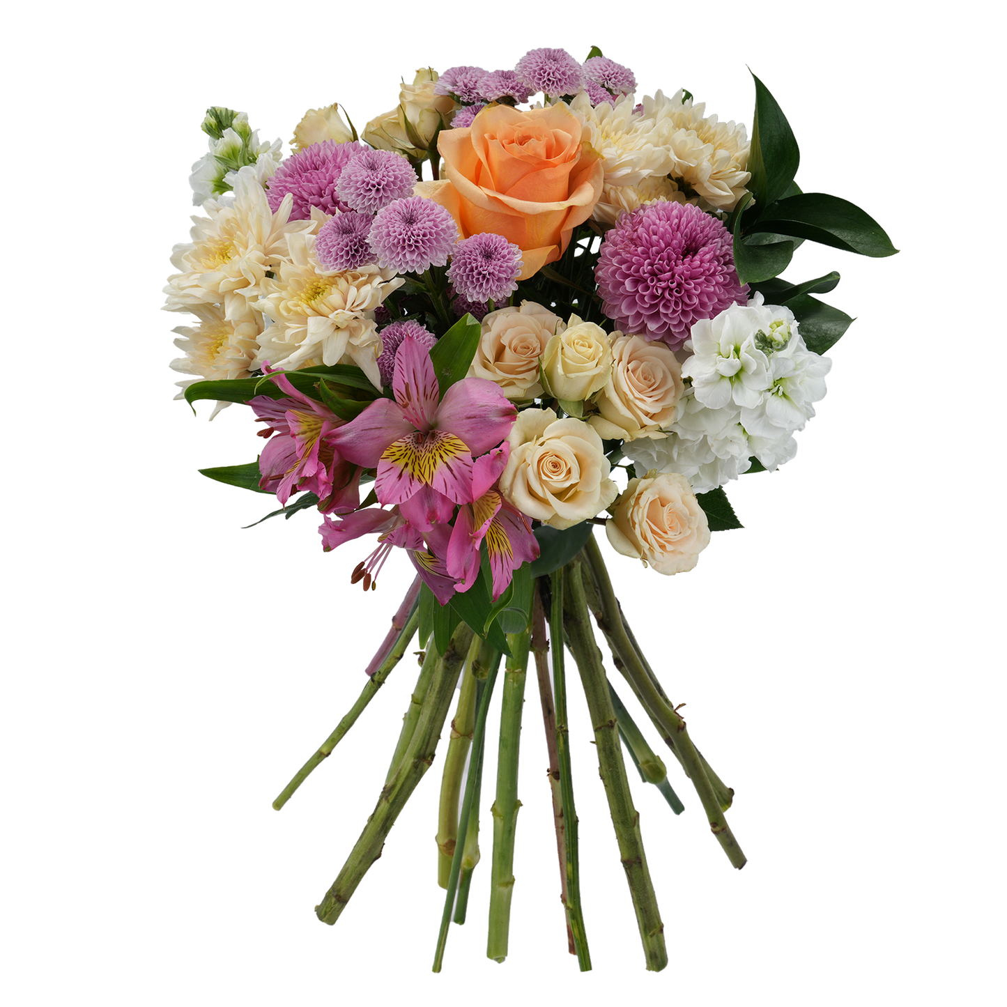 Bouquet: Harmony