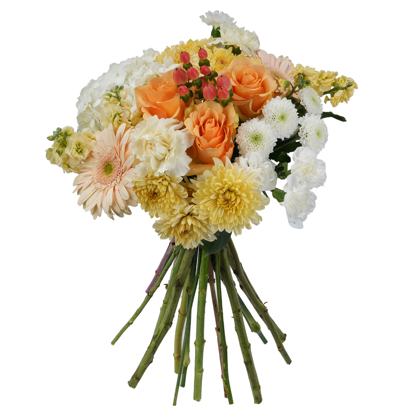 Bouquet: Honeyed Light