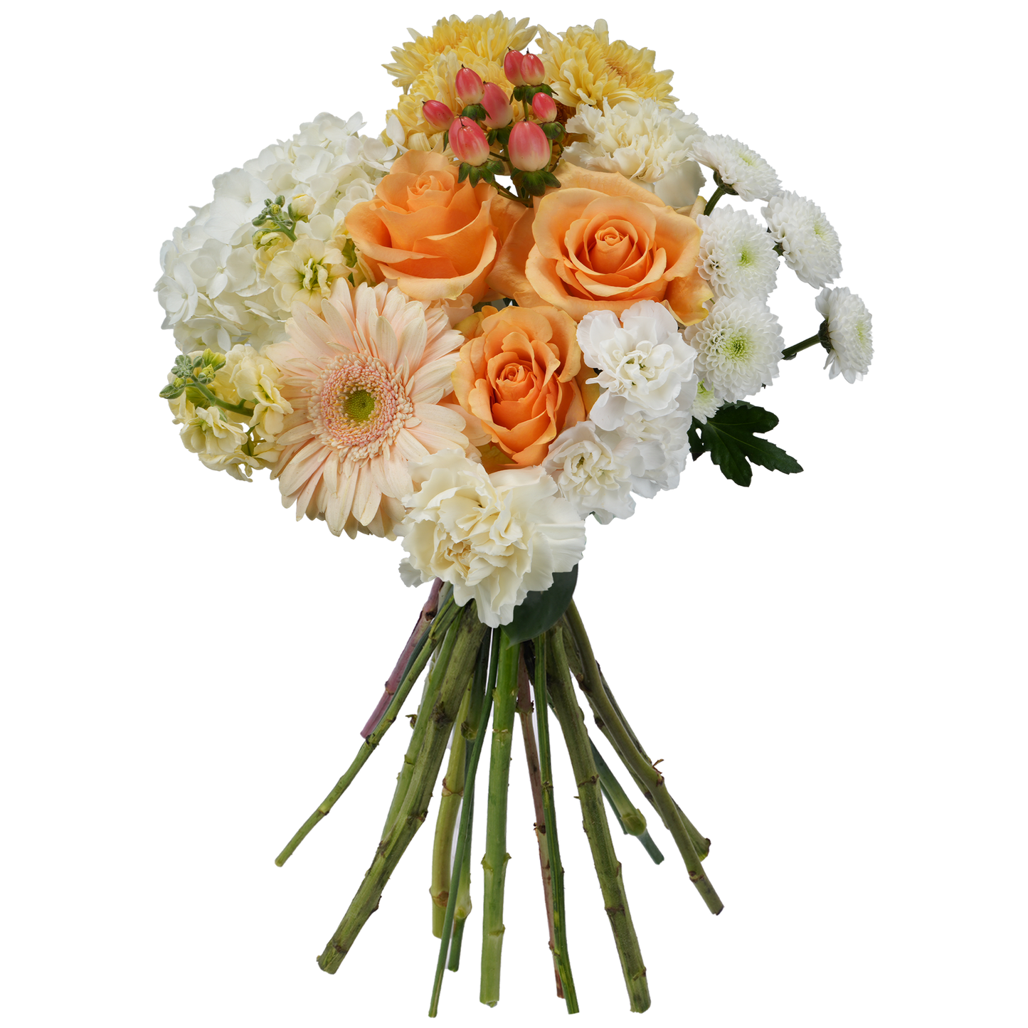 Bouquet: Honeyed Light