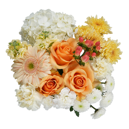 Bouquet: Honeyed Light