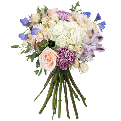 Bouquet: Ivory Accord