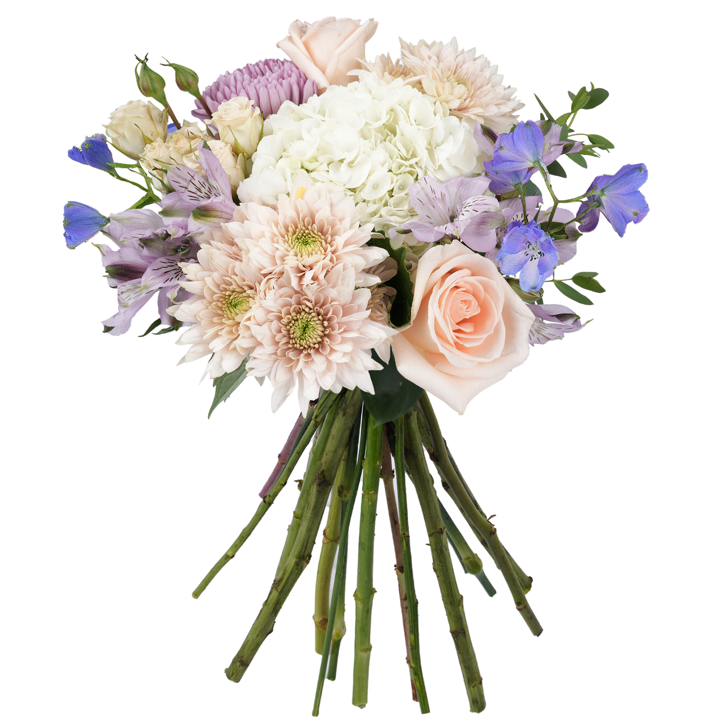 Bouquet: Ivory Accord