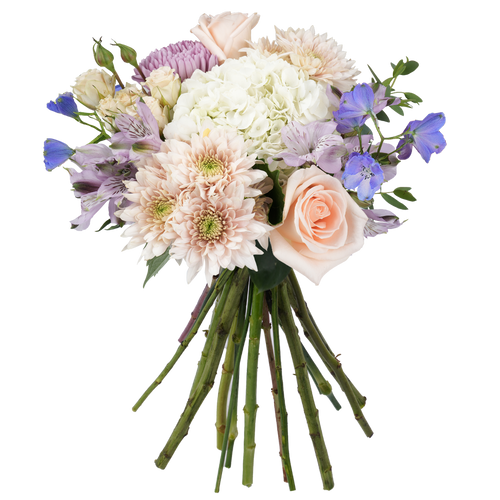 Bouquet: Ivory Accord