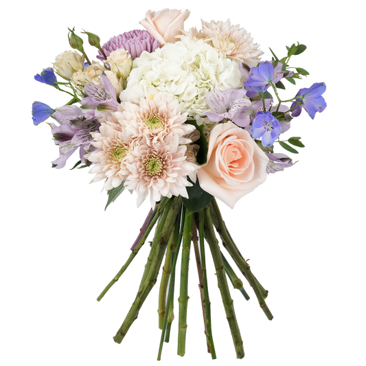 Bouquet: Ivory Accord