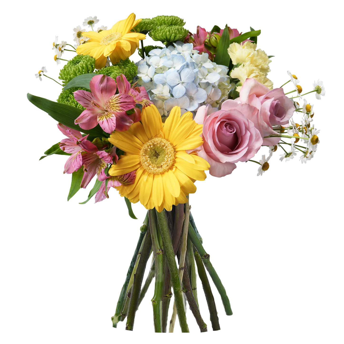 Bouquet: Joyful bloom