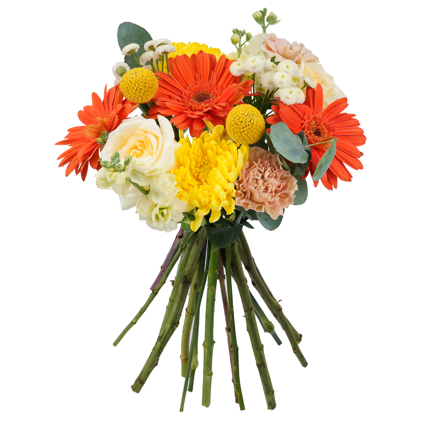 Bouquet: Morning Ode