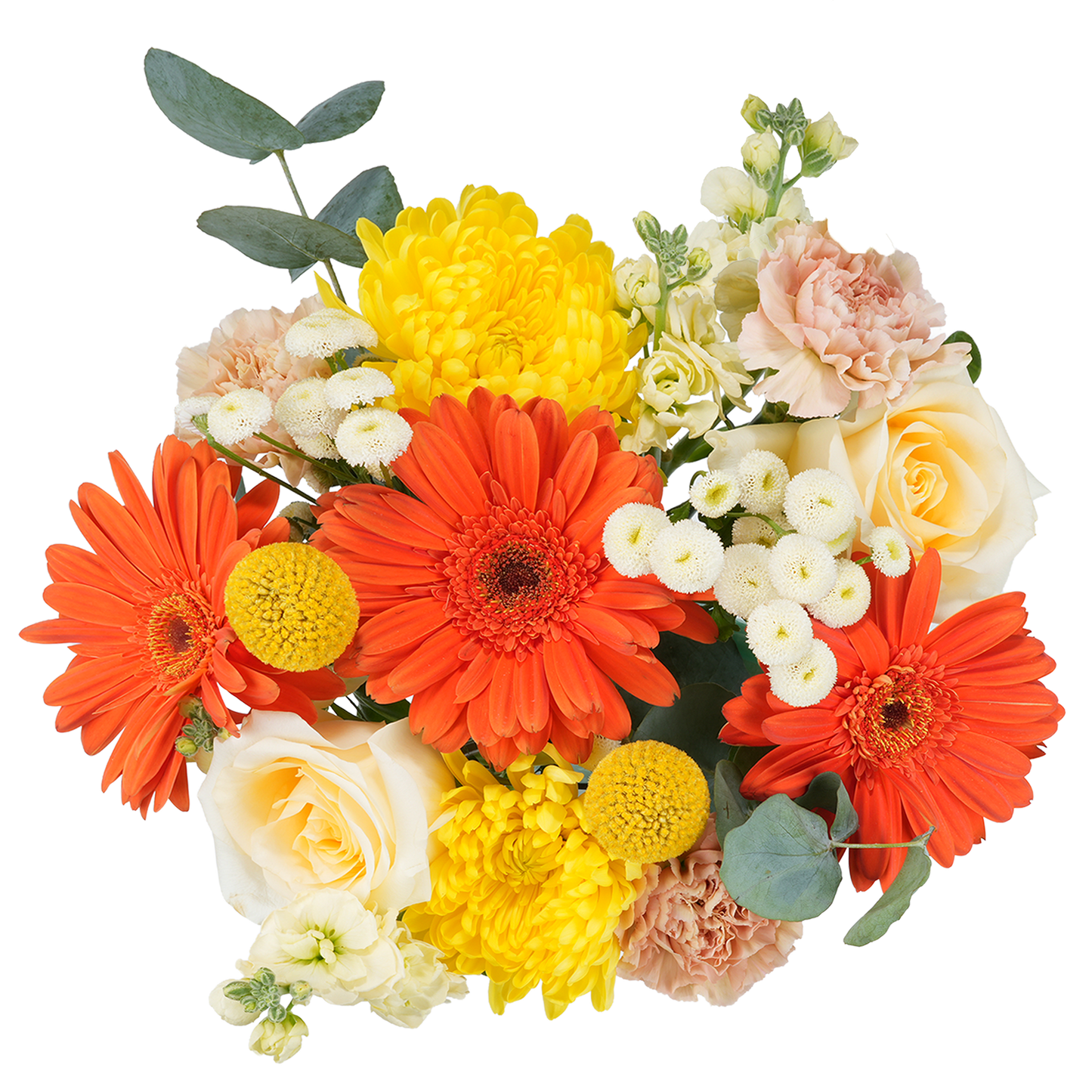 Bouquet: Morning Ode