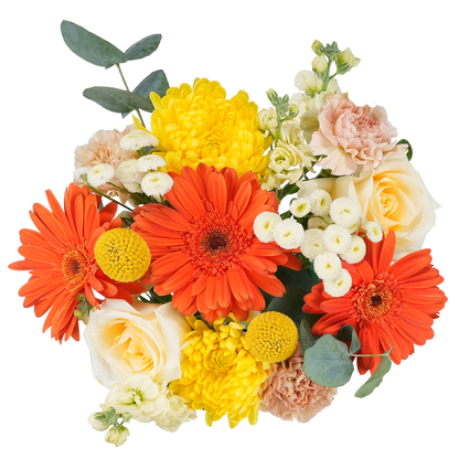 Bouquet: Morning Ode