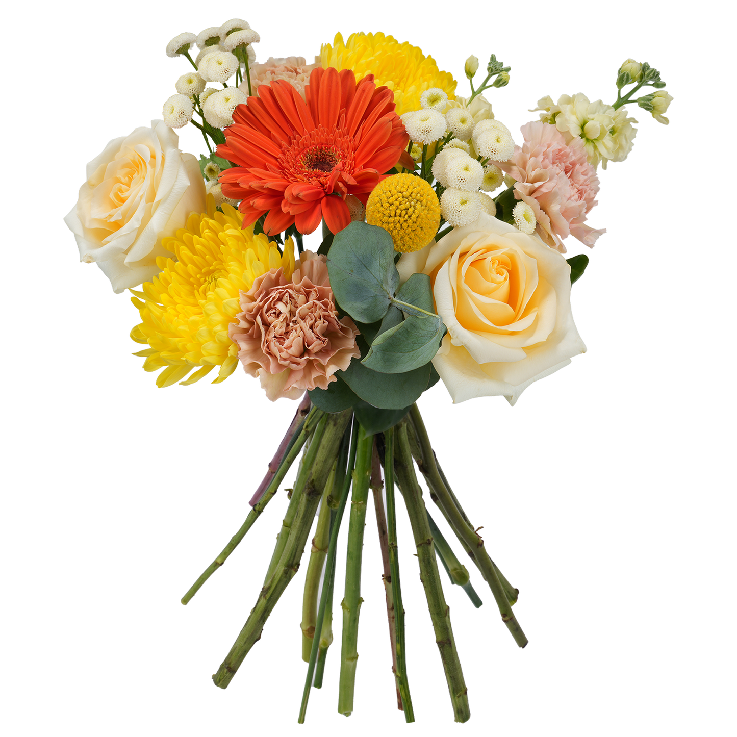 Bouquet: Morning Ode