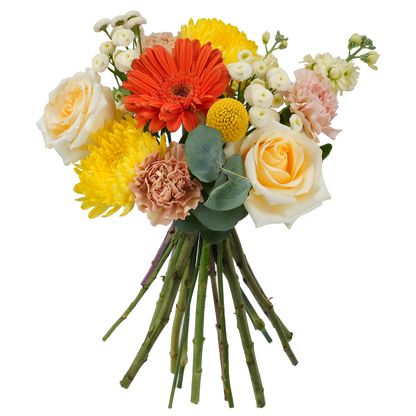 Bouquet: Morning Ode