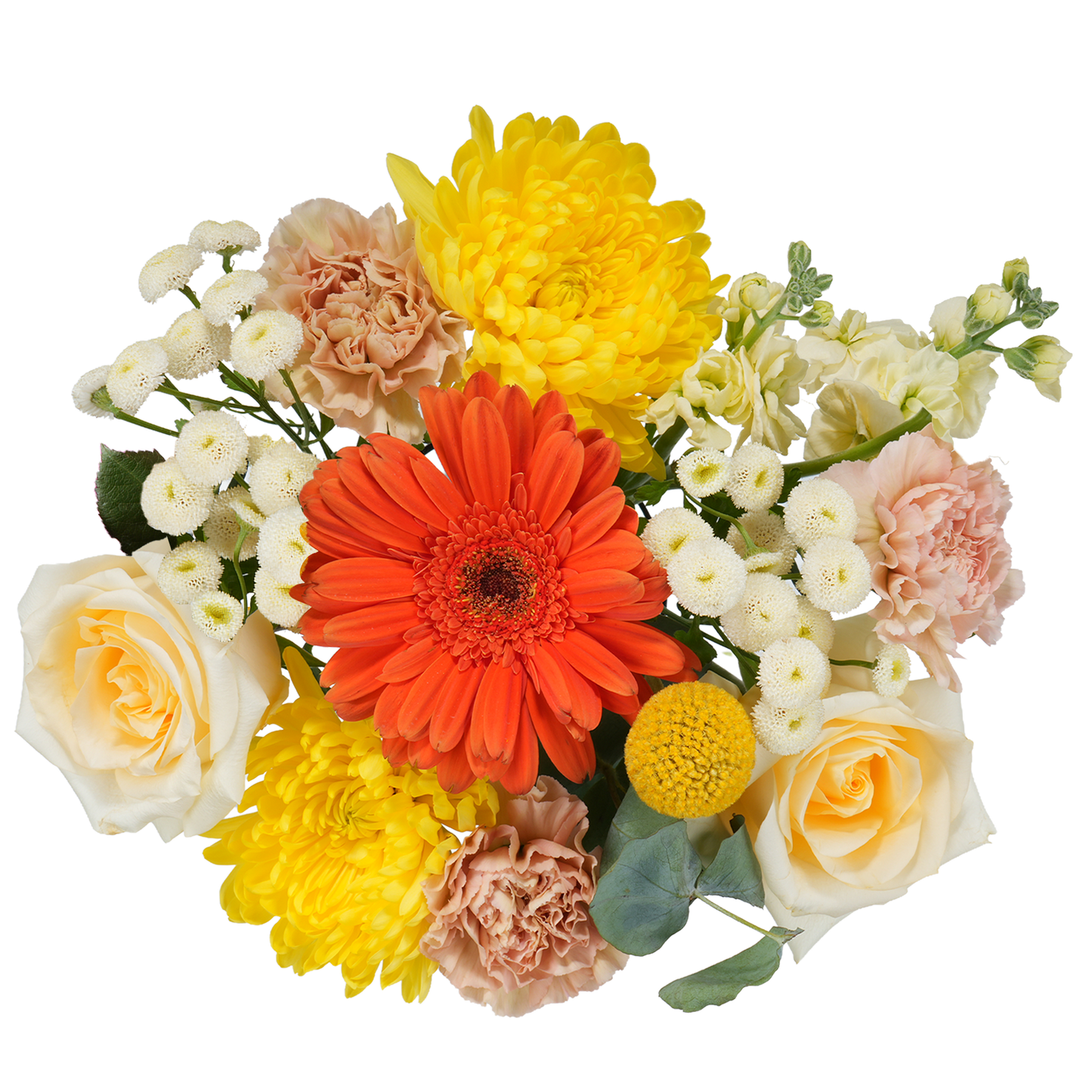 Bouquet: Morning Ode