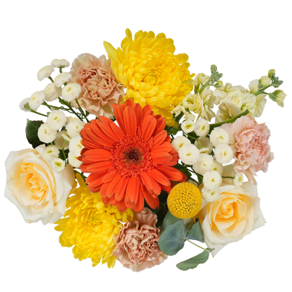 Bouquet: Morning Ode
