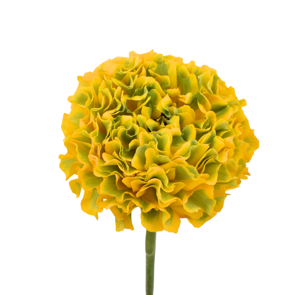 Butterfly Pom Pom