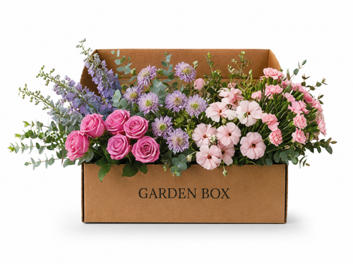 Garden box Pink Purple - 17 Bunches