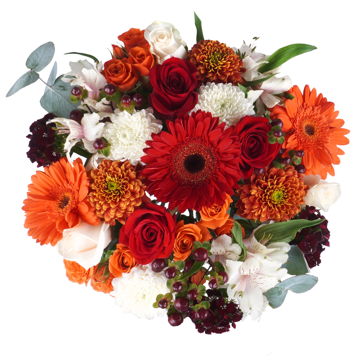 Bouquet: Petal Manifest