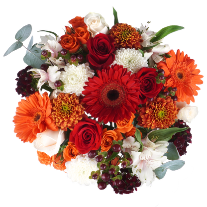 Bouquet: Petal Manifest