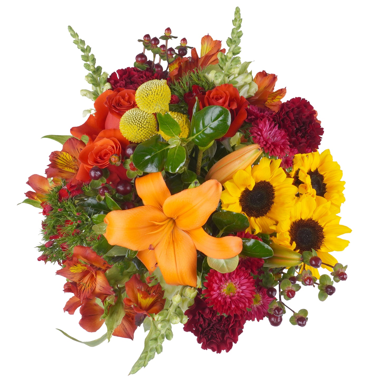 Bouquet: Lucid Accord