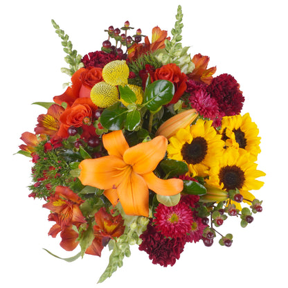 Bouquet: Lucid Accord