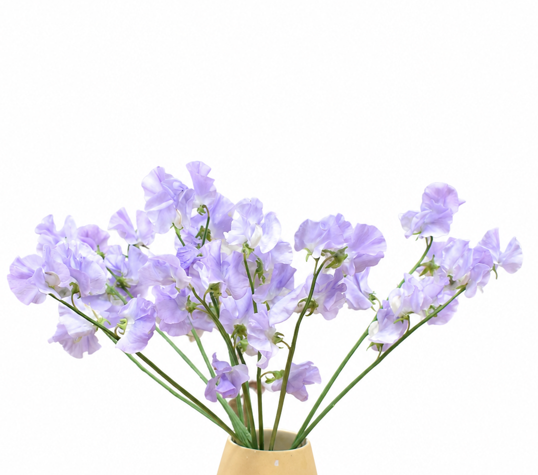 Sweet Peas