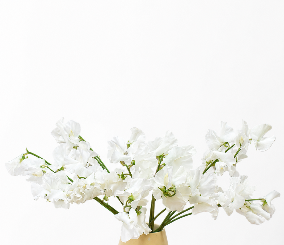 Sweet Peas